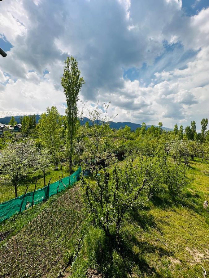 Sheen Homestay Gulmarg Eksteriør billede
