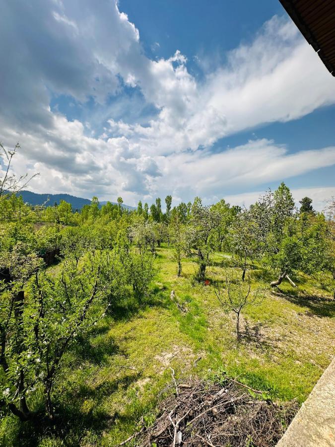 Sheen Homestay Gulmarg Eksteriør billede