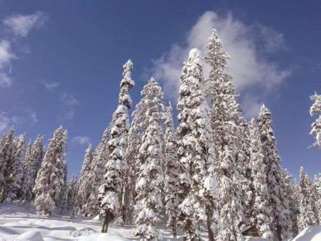 Sheen Homestay Gulmarg Eksteriør billede